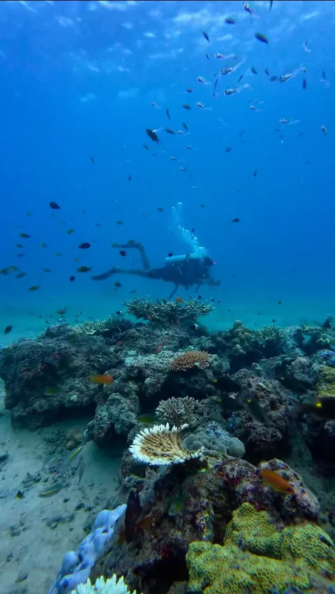 Some clicks from my recent visit to Andaman and Nicobar Islands, Union territory of India