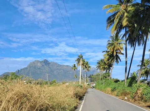 My Solo Trip to Thailand