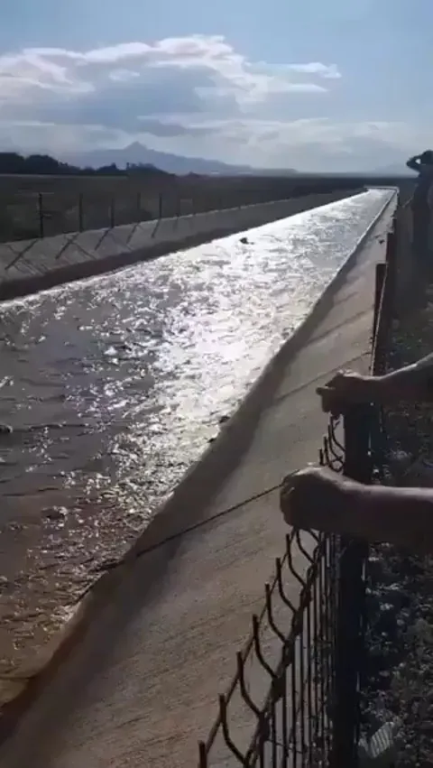 That was a close one.