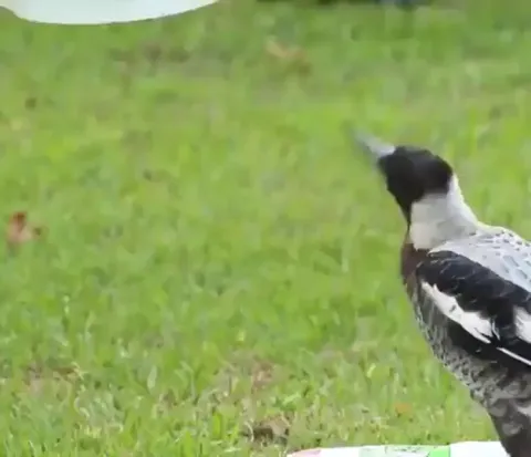 The superpowers you gain to become an effortless weirdo, just from the presence of a friend