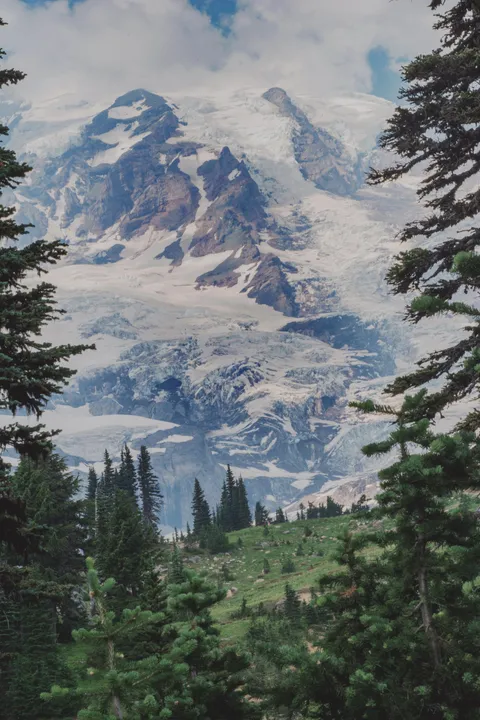 First visit to Mt. Rainer. It's so massive it doesn't look real | Mt. Rainier, Washington [OC] (3000 × 4500)