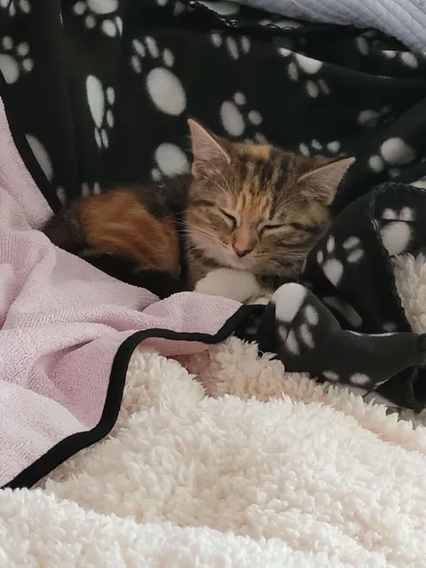 Will she eventually grow out of sleeping in my bed?