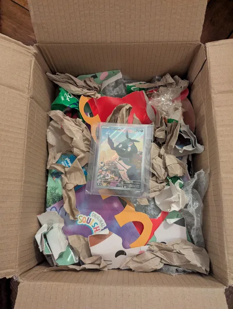 My partner gifted me a trubbish today and made him a very comfortable home