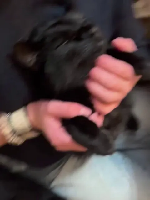 The cutest dental check