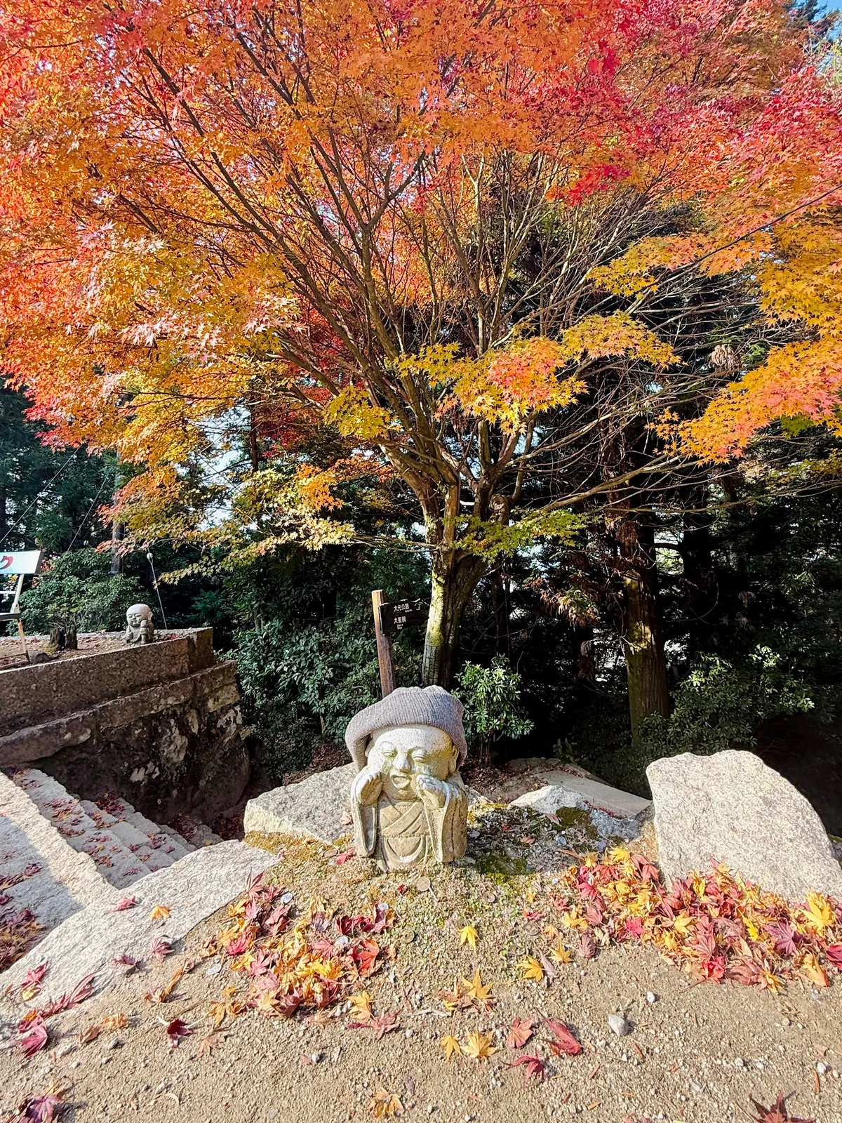 Japan in fall 🍁⛩️🚴‍♀️