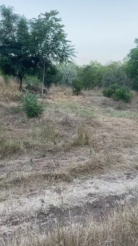 Oh hello stranger, let me cheer you up by unexpectedly [reveal] my breasts