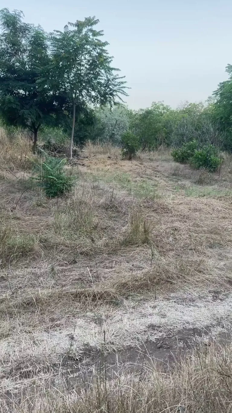 Oh hello stranger, let me cheer you up by unexpectedly [reveal] my breasts