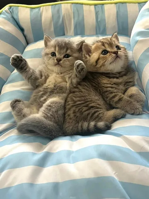 They melted again. I can’t with these two.