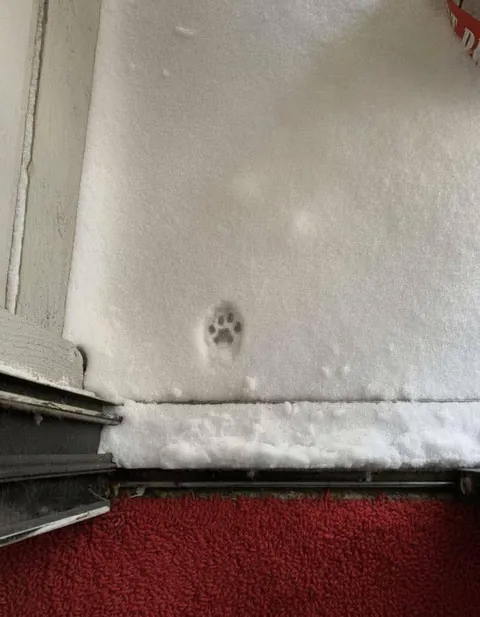 A short story about decisions.