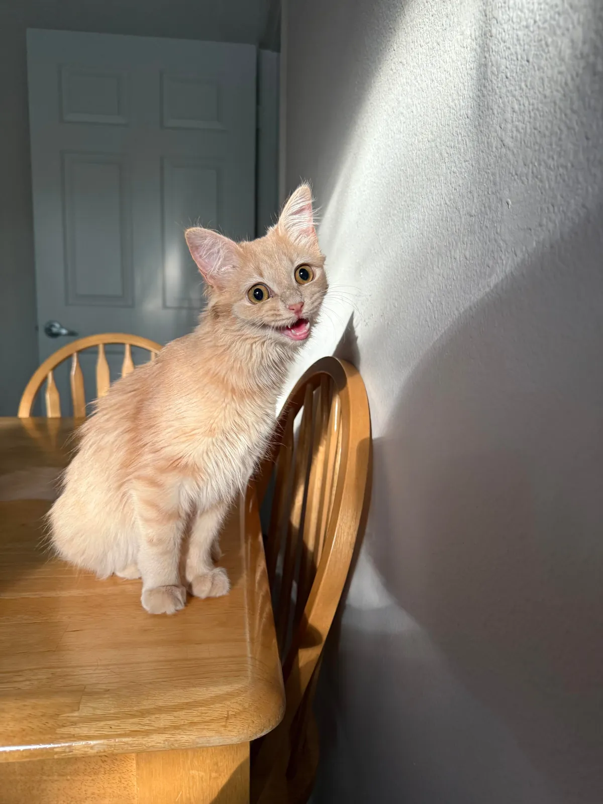 My sweet little lady