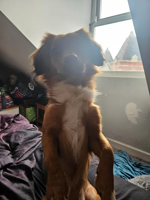 "Mother i need more attention"