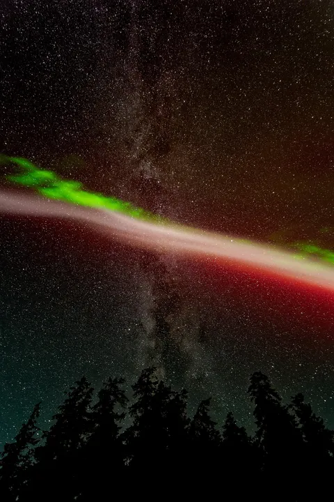 Pleased to meet you STEVE