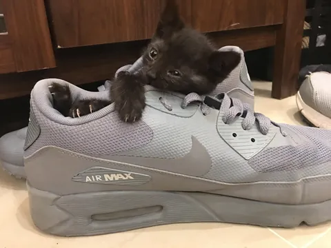 7 years with my Middle Eastern girl