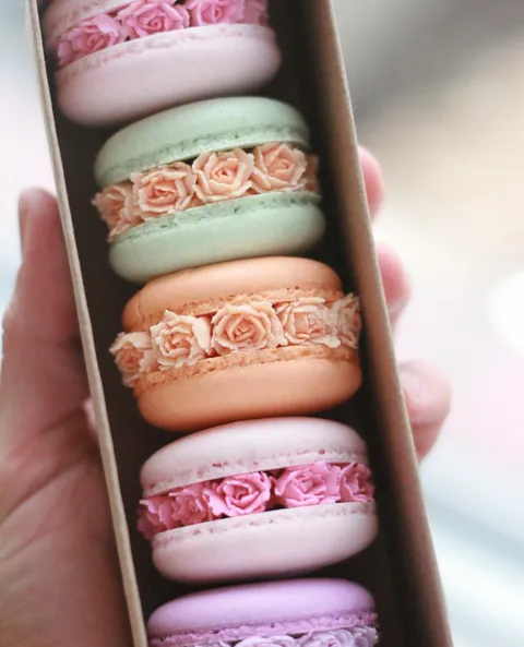 Macaron Blossoms