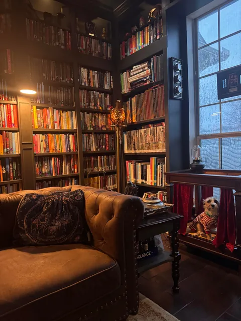 Library without the Christmas tree.  