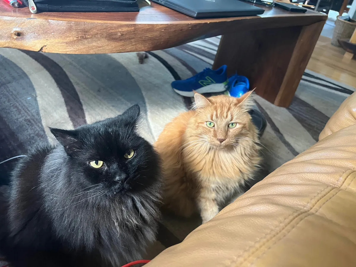 From gotcha to goodbye