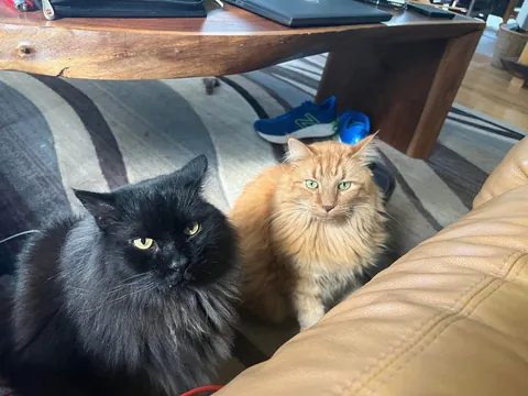 From gotcha to goodbye