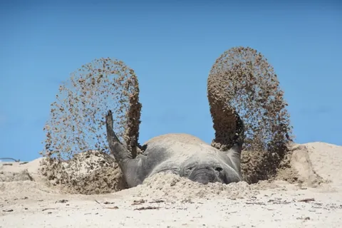 🔥 14 unseen images from the 2025 Comedy Wildlife Awards