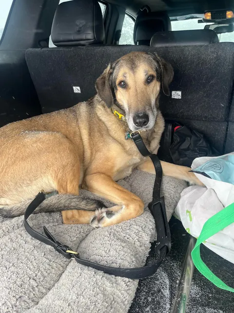 It ain’t dumb if it works…. Right?