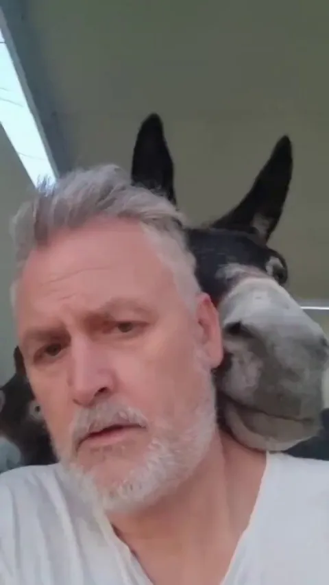 “Steve, not the ears”