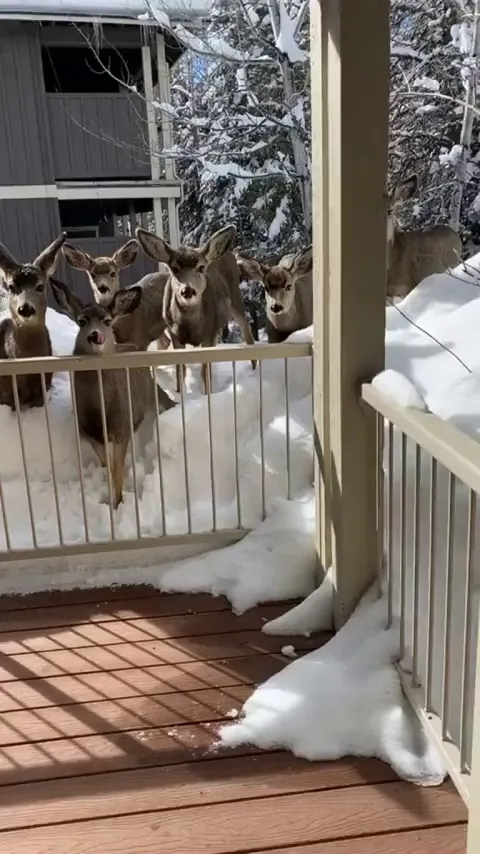 Imagine stepping outside your house &amp; this is your view 