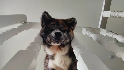 POV: You’ve reached the upstairs boss