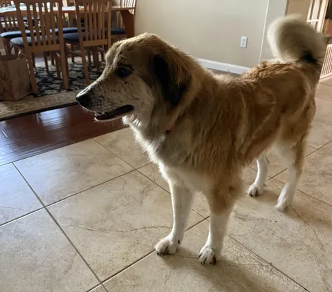 Chloe stopped by to say hi