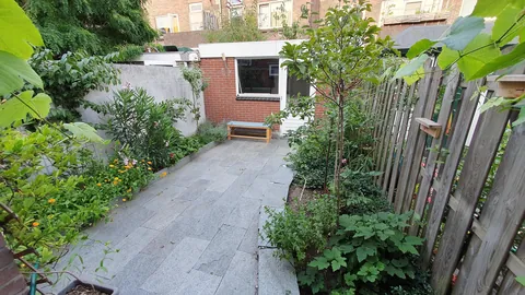 My first garden, before and after