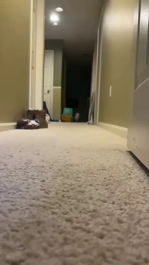 She stole her brother’s toy