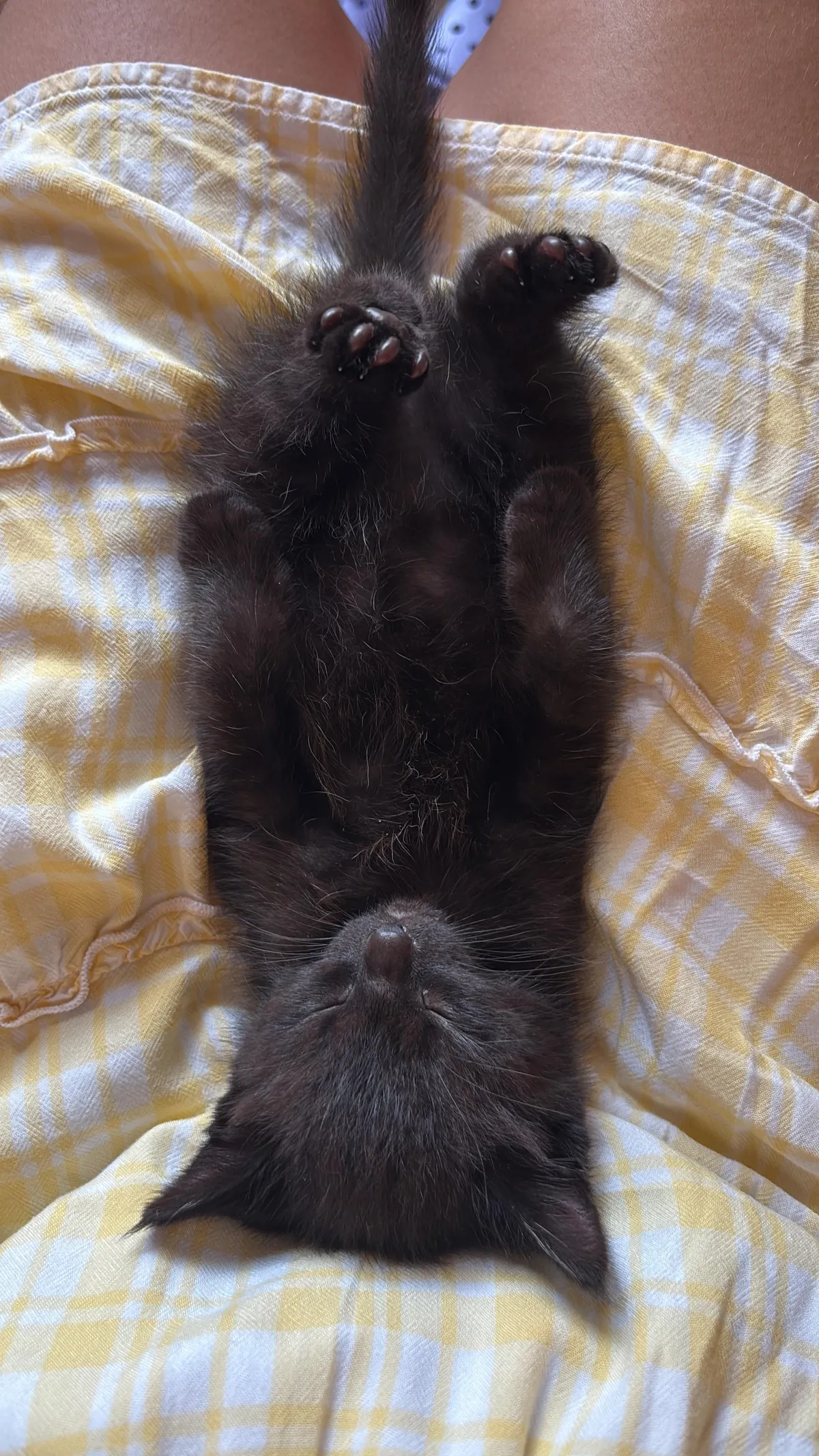 moomin jeans living her absolute best life