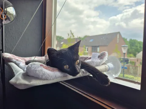 My void is 1! 🥳🥳