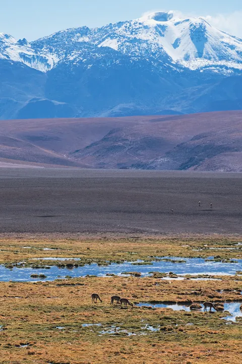 5 days in the Atacama desert - Chile