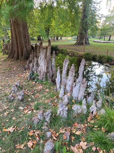 Can anyone explain what these are please?