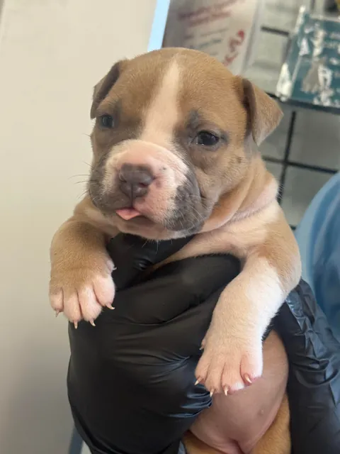 I am a shelter vet tech and met a kiddo named Oat