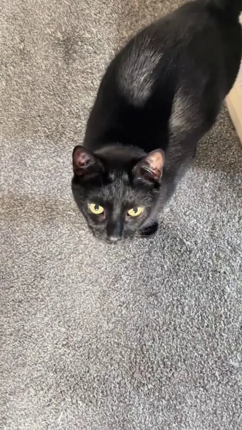 How he asks for attention