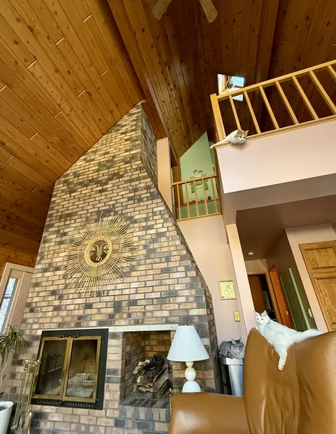 Fluffs in their happy place.