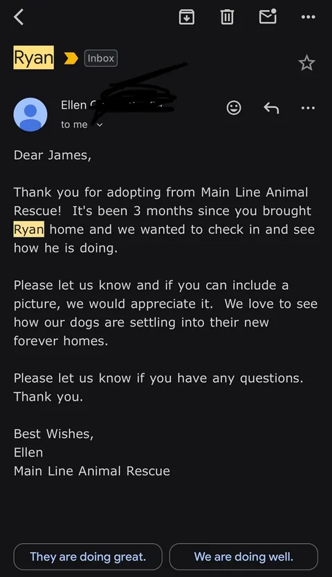 Thanks for checking in, I’d say he’s doing quite well! 3 months with my best friend. Time flies when you’re having fun!