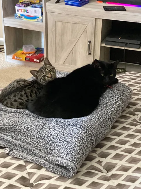 It’s taken me a while to make this post, but here is my sweet man Benjamin <3