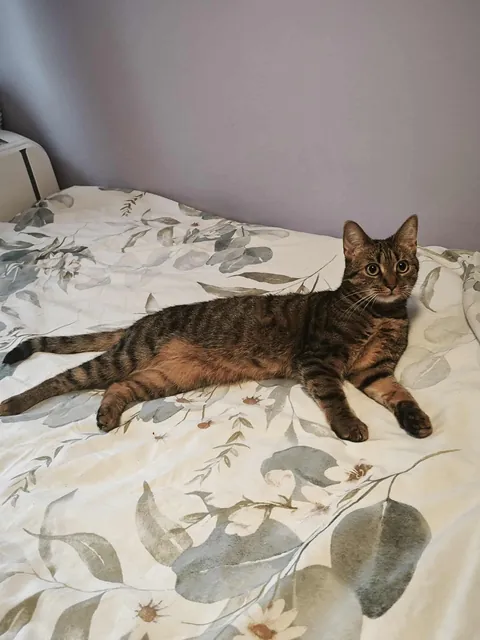 I can't believe she lives with me