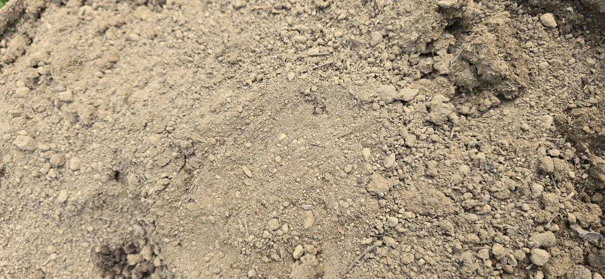 Local company calls this "Premium Topsoil" and says it's rich in organic materials and compost. It's basically sand and is really hydrophobic.