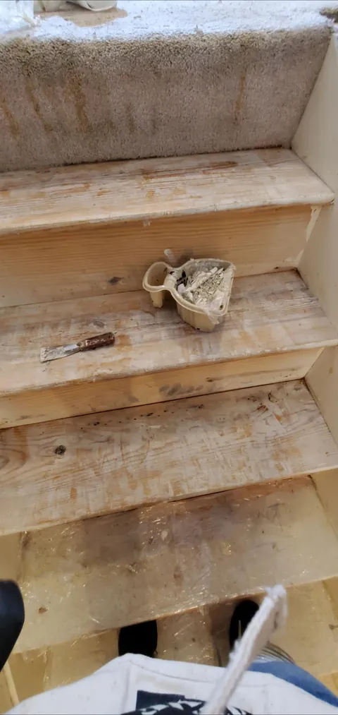Carpeted pine stairs → sanded and stained wood (first woodworking project from start to finish)