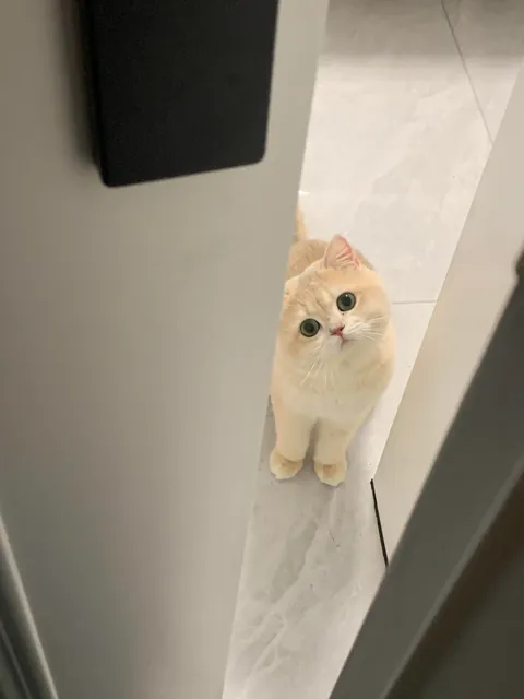 For some reason, it’s always staring at me.