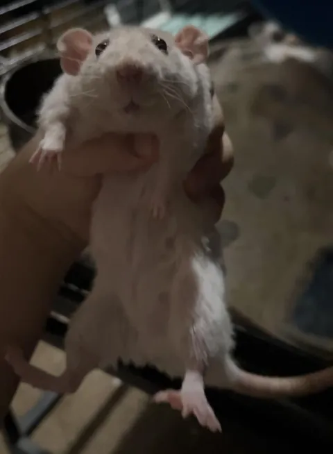 ivy stole my food straight from my mouth SHAME HER