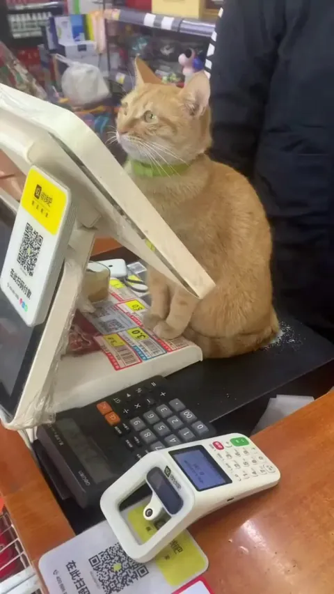 Can I have your order please