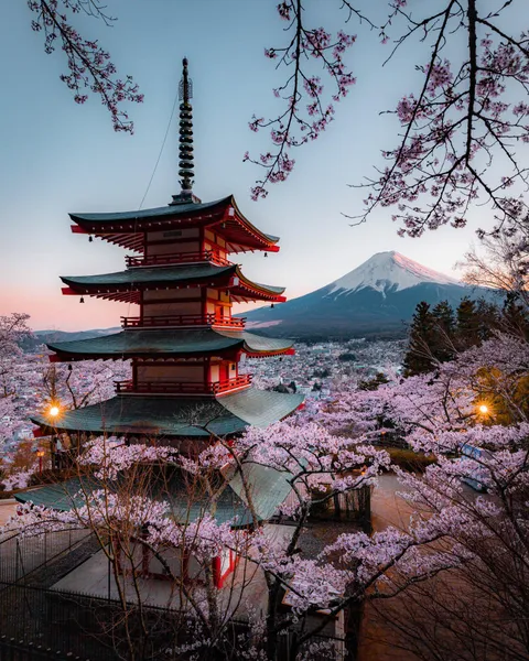 Fuji during cherry blossom season
