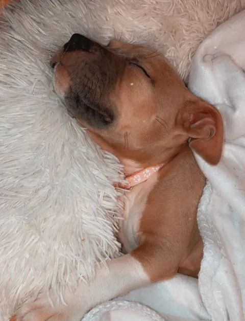 In bed! Again and again!