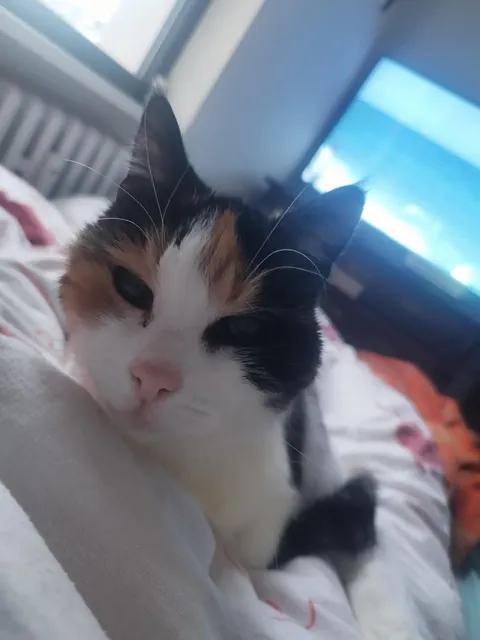 19 years and still looking fresh