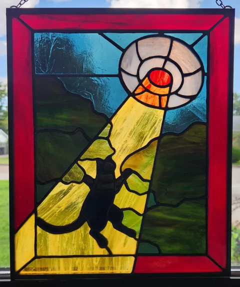 Black cat being abducted