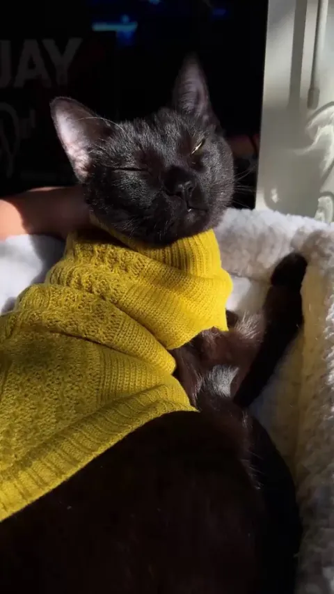 Cozy day with void enjoying vinyl and bird watching 🎶🦜