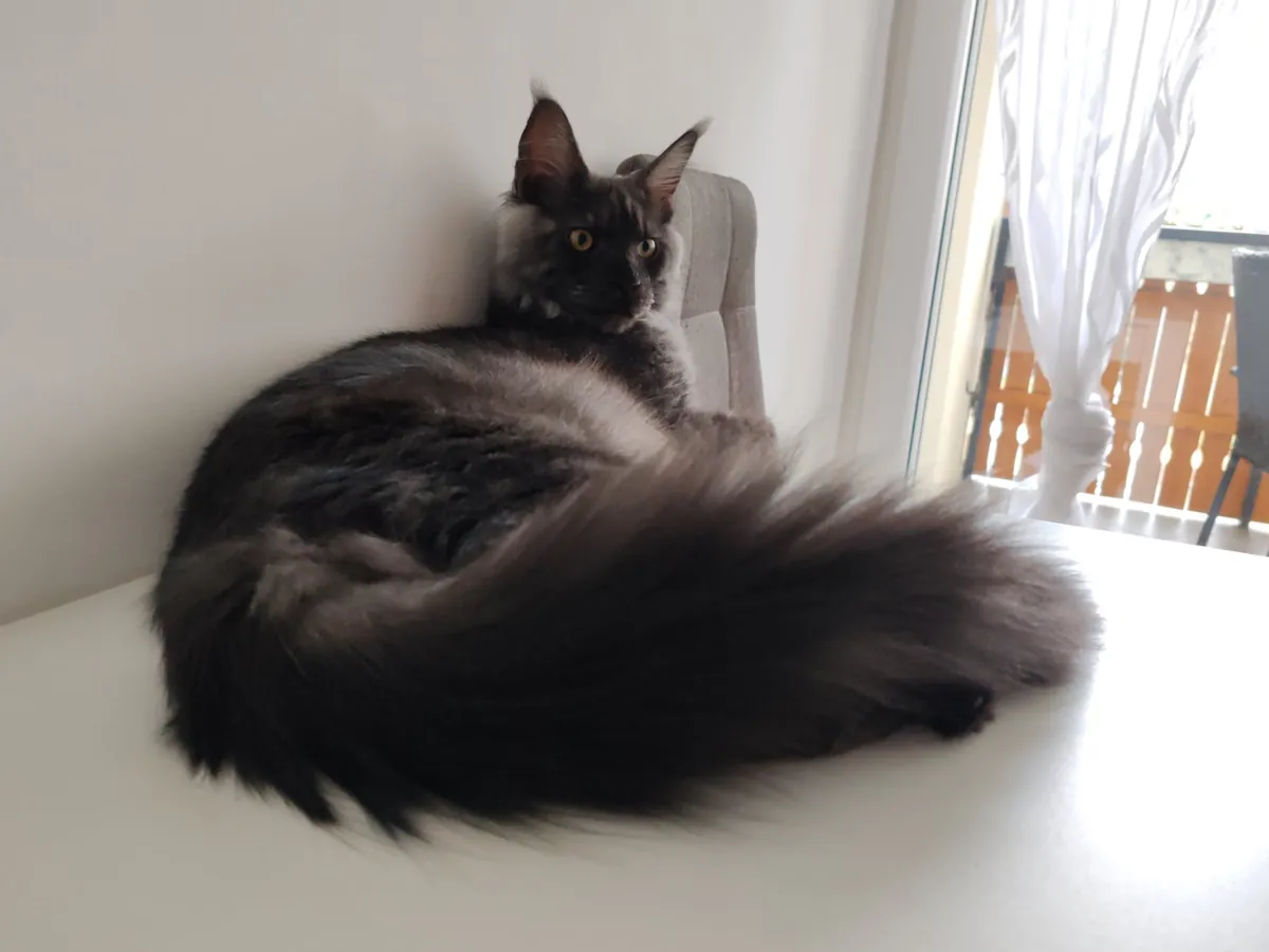 Théoden turned 6 months old